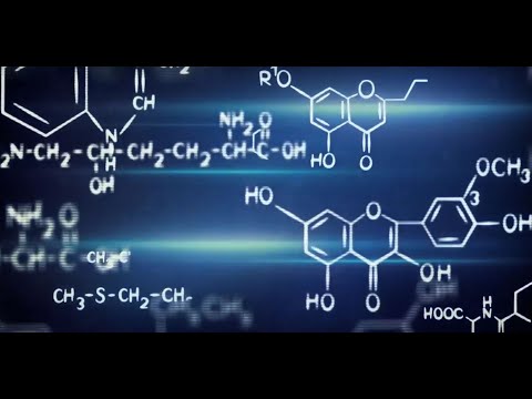 Zuckerman STEM Program — Alon Grinberg Dana