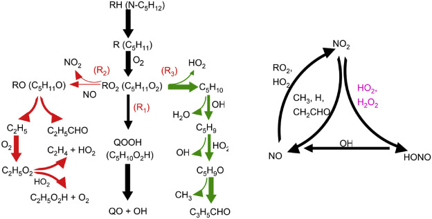 Graphical abstract: Experimental and modeling study of the mutual oxidation of n-pentane and nitrogen dioxide at low and high temperatures in a jet stirred reactor