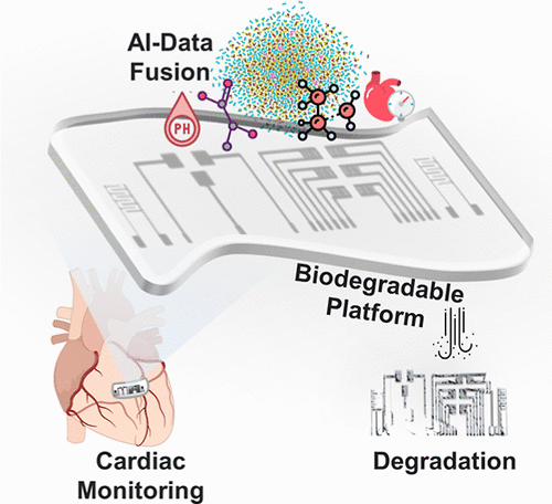 Graphical abstract: Biodegradable, Biocompatible, and Implantable Multifunctional Sensing Platform for Cardiac Monitoring