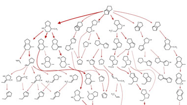 Graphical abstract: Automatic generation of reduced chemical mechanisms of liquid aviation fuels for application in combustion dynamics computations